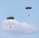 Two parachutists are descending through a clear blue sky with white clouds in the background. Both parachutes are dark gray/olive colored round canopies, consistent with military-style parachutes. Each jumper appears to be wearing bright orange gear or harness components, visible against the sky.