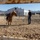 U.S. Marine Corps Mounted Color Guard Operations