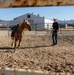 U.S. Marine Corps Mounted Color Guard Operations