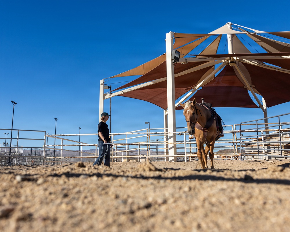 U.S. Marine Corps Mounted Color Guard Operations