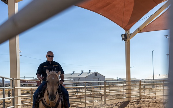 U.S. Marine Corps Mounted Color Guard Operations