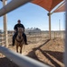 U.S. Marine Corps Mounted Color Guard Operations