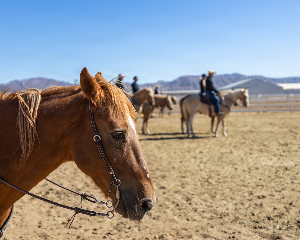 U.S. Marine Corps Mounted Color Guard Operations