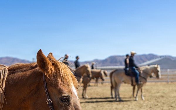 U.S. Marine Corps Mounted Color Guard Operations