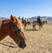 U.S. Marine Corps Mounted Color Guard Operations