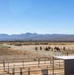 U.S. Marine Corps Mounted Color Guard Operations