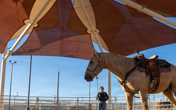 U.S. Marine Corps Mounted Color Guard Operations