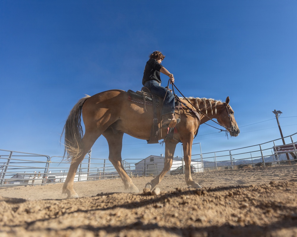 U.S. Marine Corps Mounted Color Guard Operations