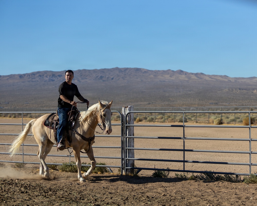 U.S. Marine Corps Mounted Color Guard Operations