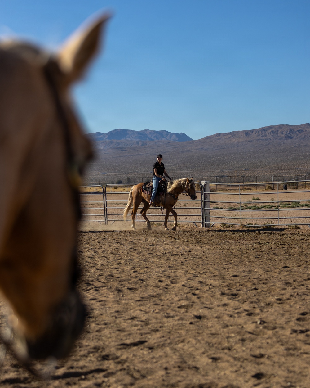 U.S. Marine Corps Mounted Color Guard Operations