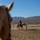 U.S. Marine Corps Mounted Color Guard Operations