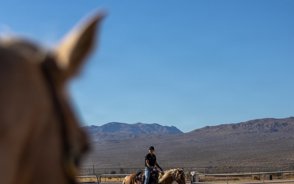 U.S. Marine Corps Mounted Color Guard Operations