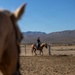 U.S. Marine Corps Mounted Color Guard Operations