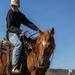 U.S. Marine Corps Mounted Color Guard Operations