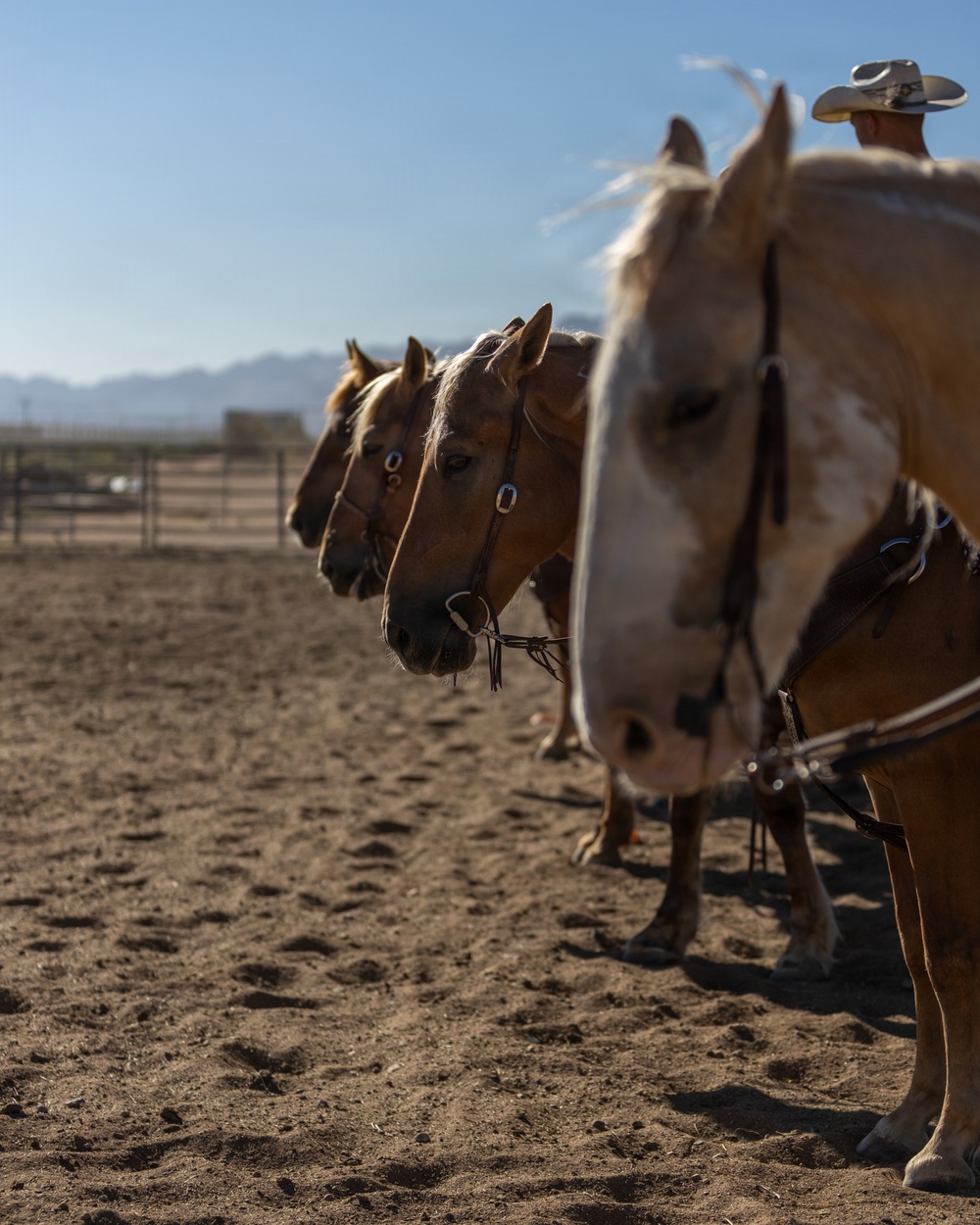 U.S. Marine Corps Mounted Color Guard Operations