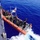 Coast Guard repatriates 14 aliens to Cuba
