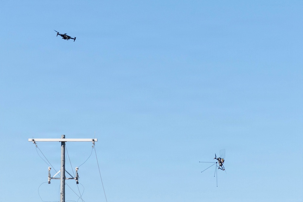 The image shows two unmanned aerial vehicles (drones) flying in a clear blue sky above a utility power pole with electrical insulators and wires. One drone in the upper left appears to be a standard quadcopter, while the second drone on the right has a more complex, multi-legged or interceptor-style frame and appears to be in a tilted or dynamic flight posture. The scene suggests a possible drone interception or counter-drone operation scenario.