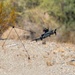 A consumer-grade quadcopter drone (appears to be a DJI Mavic series) is captured mid-flight in an arid, desert-scrub environment. The drone has an additional payload or sensor module mounted on top and is entangled with or deploying a net attached to a collapsible frame structure. The scene suggests either a counter-drone net-capture system test or a drone-deployed net system in operation.