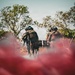 The image shows armed military or tactical personnel in camouflage uniforms and black helmets moving through an outdoor environment with trees. They appear to be carrying a stretcher or flat object between them, photographed through what appears to be red smoke or blurred foreground foliage. The scene suggests a training exercise or tactical operation.