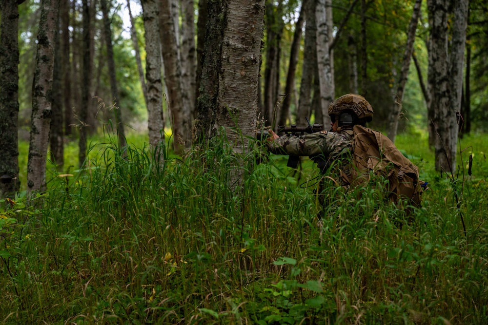 A soldier in full combat gear is positioned in a crouching stance behind a birch tree in a dense forest, aiming a rifle with an optical scope. The individual is wearing camouflage uniform, tactical vest, and a ballistic helmet. The setting appears to be a woodland training or operational environment with lush green undergrowth.