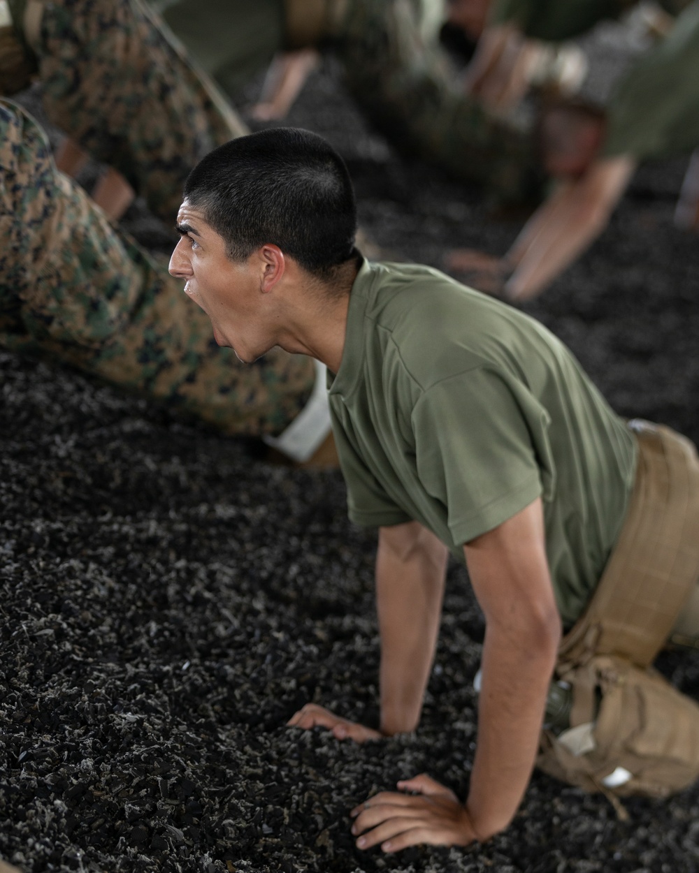 Bravo Company MCMAP