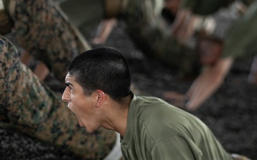 Bravo Company MCMAP