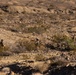 The image shows three military personnel in desert camouflage uniforms conducting a patrol or movement through arid, rocky terrain. The soldiers are spread out in a tactical formation across a dry desert landscape with sparse scrub vegetation. The scene appears to be either a training exercise or an operational patrol in a desert environment.