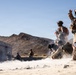 Military personnel in desert camouflage uniforms are conducting what appears to be a training exercise in an arid desert environment. Smoke or dust is visible on the ground, and soldiers are in various tactical positions including prone, kneeling, and standing. A concrete structure marked with the number '13' and a red stripe is visible in the background.