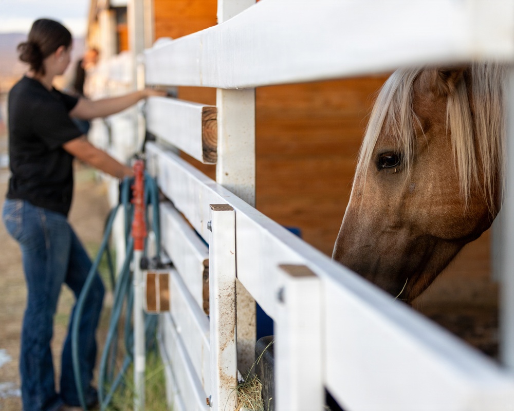 U.S. Marine Corps Mounted Color Guard Operations
