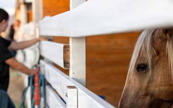 U.S. Marine Corps Mounted Color Guard Operations