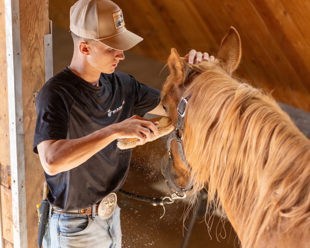 U.S. Marine Corps Mounted Color Guard Operations