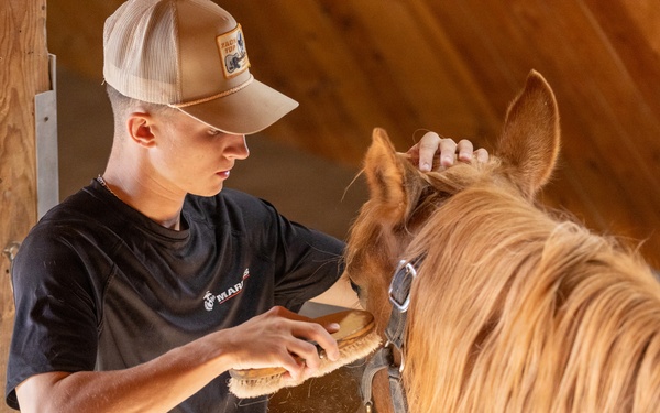 U.S. Marine Corps Mounted Color Guard Operations