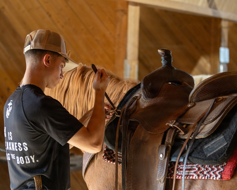 U.S. Marine Corps Mounted Color Guard Operations