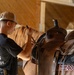 U.S. Marine Corps Mounted Color Guard Operations