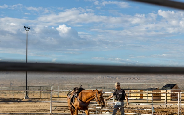 U.S. Marine Corps Mounted Color Guard Operations