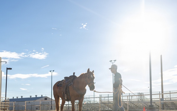 U.S. Marine Corps Mounted Color Guard Operations