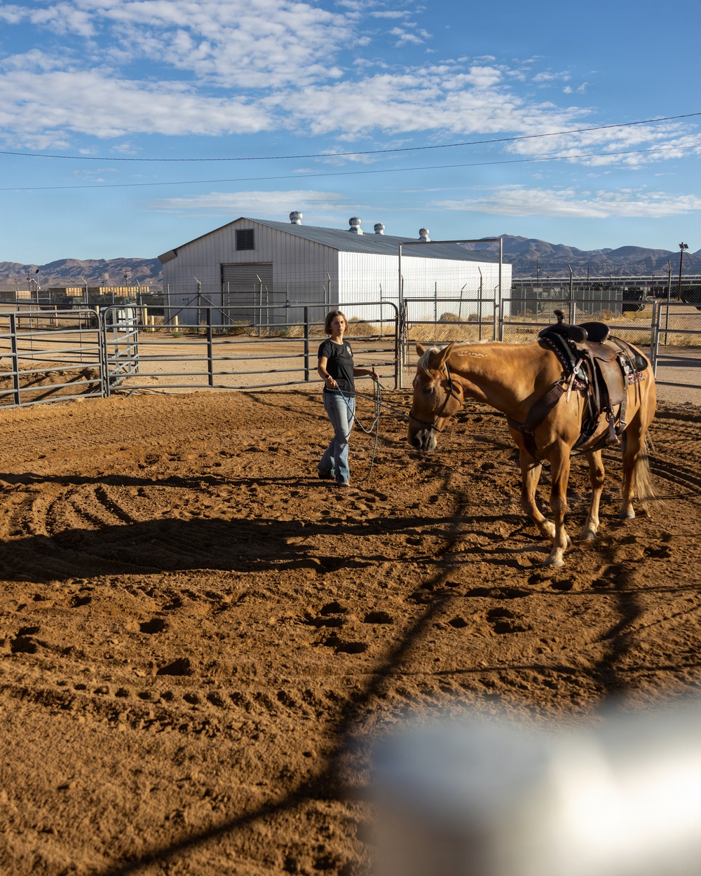 U.S. Marine Corps Mounted Color Guard Operations