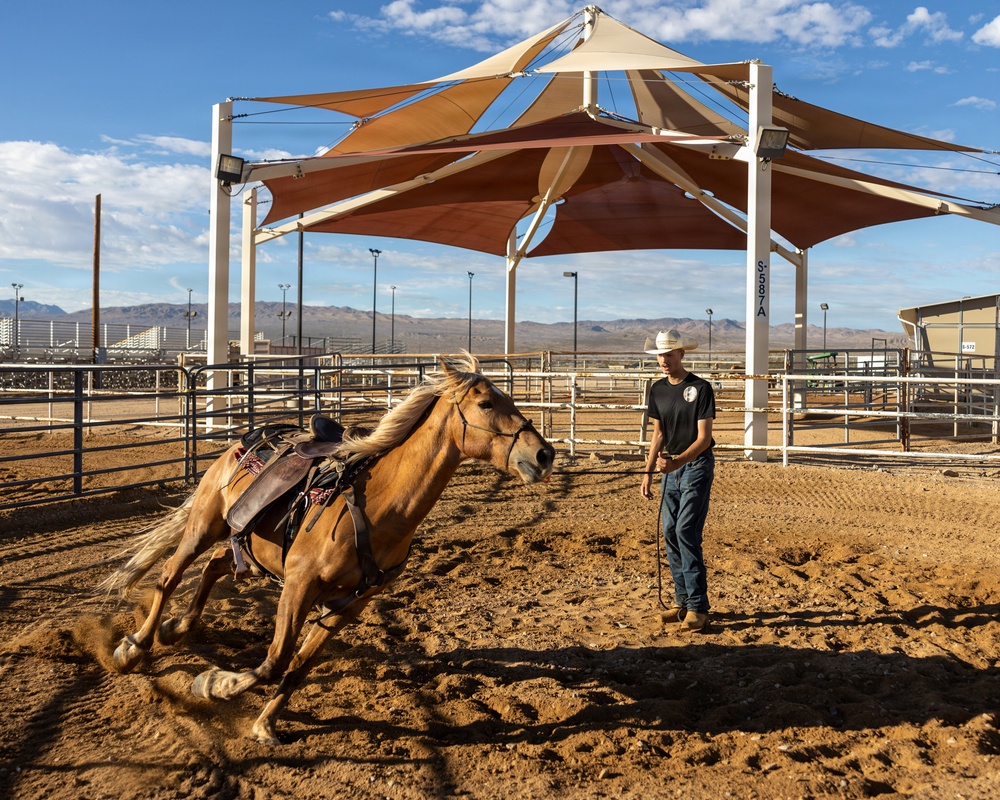U.S. Marine Corps Mounted Color Guard Operations