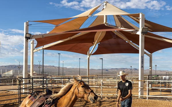 U.S. Marine Corps Mounted Color Guard Operations