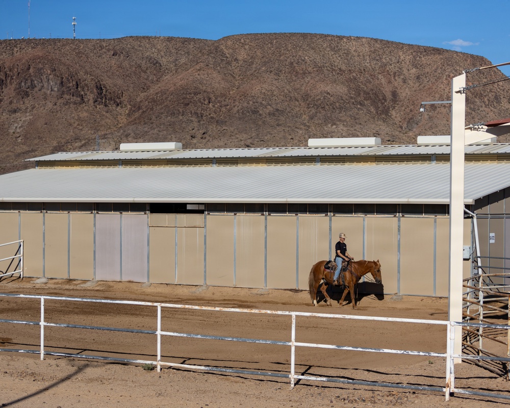 U.S. Marine Corps Mounted Color Guard Operations