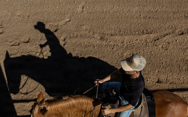 U.S. Marine Corps Mounted Color Guard Operations