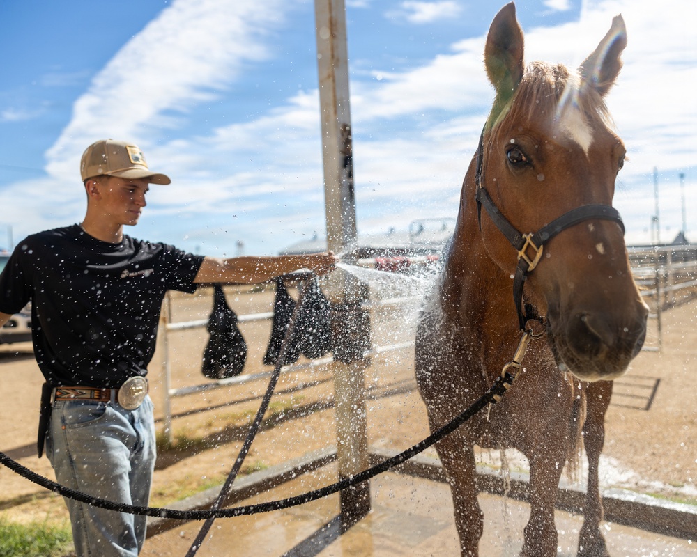 U.S. Marine Corps Mounted Color Guard Operations