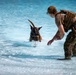 A military or law enforcement handler in full camouflage gear and tactical backpack is wading in shallow turquoise water, leaning forward to receive a Belgian Malinois dog that is swimming toward them. The dog appears to be wearing a muzzle and leash, suggesting this is a controlled military working dog (MWD) water training exercise. The setting appears to be a tropical or coastal location based on the clear blue water.