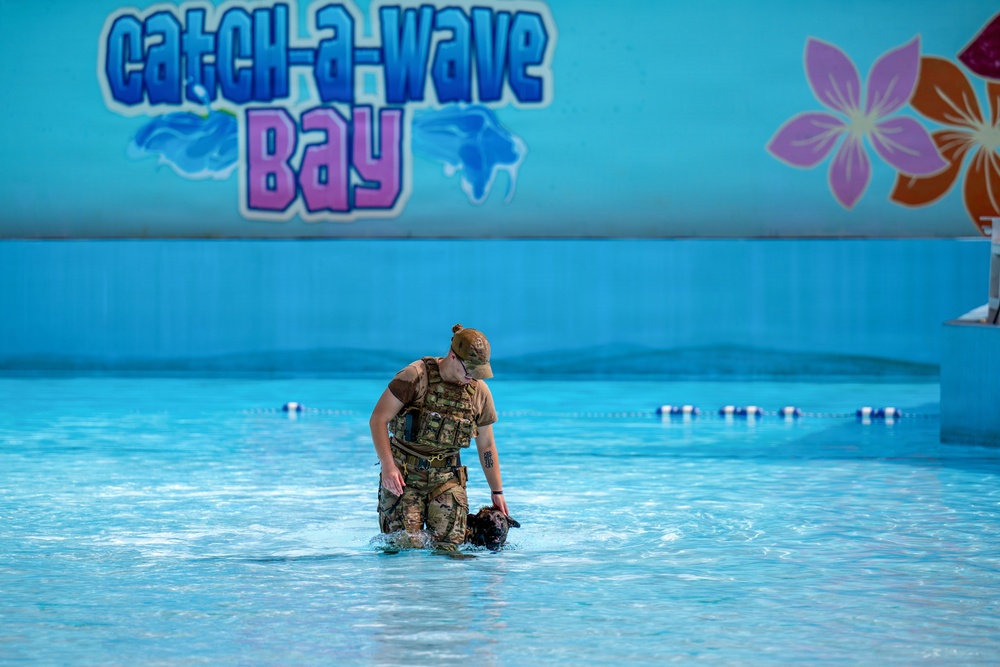A person in military camouflage uniform and tactical vest is wading knee-deep in a pool at what appears to be a water park called 'Catch-A-Wave Bay.' They are bent over attending to a dark-colored dog in the water. The setting suggests a military working dog water training exercise conducted at a closed or repurposed water park facility.