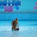 A person in military camouflage uniform and tactical vest is wading knee-deep in a pool at what appears to be a water park called 'Catch-A-Wave Bay.' They are bent over attending to a dark-colored dog in the water. The setting suggests a military working dog water training exercise conducted at a closed or repurposed water park facility.