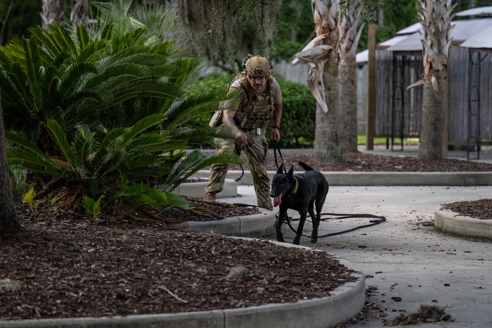 A military or law enforcement handler in full tactical gear is working with a black military working dog (MWD) on a leash in an outdoor landscaped area. The handler is crouched in an alert posture, appearing to direct or guide the dog near a sago palm and mulched garden bed. The setting suggests a training exercise or security sweep at a base or institutional facility.