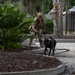 A military or law enforcement handler in full tactical gear is working with a black military working dog (MWD) on a leash in an outdoor landscaped area. The handler is crouched in an alert posture, appearing to direct or guide the dog near a sago palm and mulched garden bed. The setting suggests a training exercise or security sweep at a base or institutional facility.
