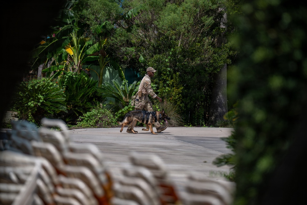 A person in military or tactical camouflage uniform and cap is walking a German Shepherd dog on a paved path surrounded by lush tropical vegetation. The image is captured from a distance through foliage, giving it a partially obscured, candid quality. Stacked white lounge chairs are visible in the blurred foreground, suggesting a resort or recreational facility setting.