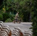 A person in military or tactical camouflage uniform and cap is walking a German Shepherd dog on a paved path surrounded by lush tropical vegetation. The image is captured from a distance through foliage, giving it a partially obscured, candid quality. Stacked white lounge chairs are visible in the blurred foreground, suggesting a resort or recreational facility setting.