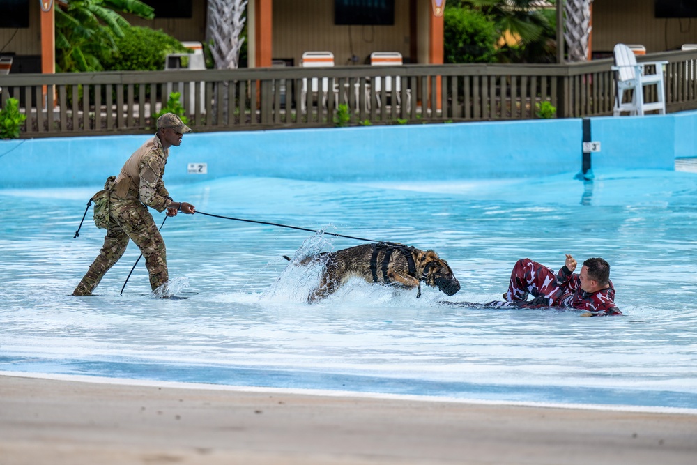 A military working dog (MWD) training exercise is taking place in a shallow pool or wave pool facility. A handler in military camouflage uniform controls a German Shepherd on a leash as the dog engages a decoy wearing a red protective bite suit who is partially submerged in the water. The scene captures an active apprehension drill with water splashing around the dog mid-lunge.